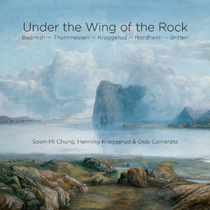 Under the Wing of the Rock网赚项目-副业赚钱-互联网创业-资源整合HIRES SHOP