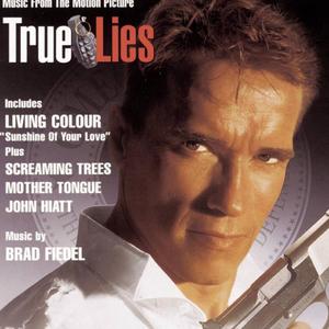 True Lies – Music From The Motion Picture网赚项目-副业赚钱-互联网创业-资源整合HIRES SHOP