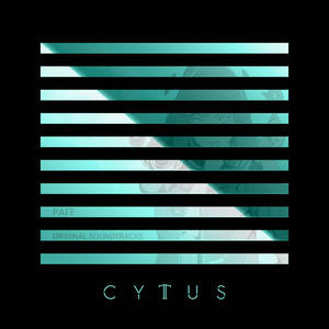 Cytus II-Paff (Original Soundtrack)网赚项目-副业赚钱-互联网创业-资源整合HIRES SHOP
