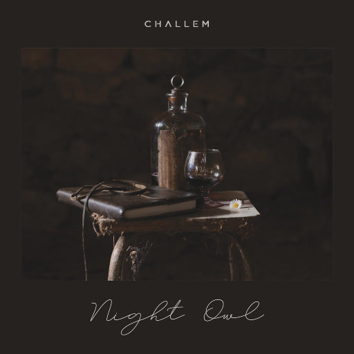 Night Owl网赚项目-副业赚钱-互联网创业-资源整合HIRES SHOP