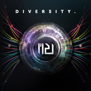 DIVERSITY网赚项目-副业赚钱-互联网创业-资源整合HIRES SHOP