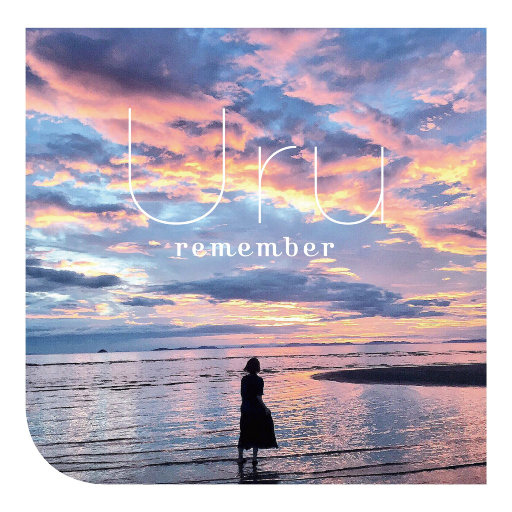 remember网赚项目-副业赚钱-互联网创业-资源整合HIRES SHOP
