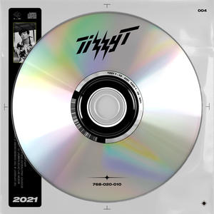 Tizzy T网赚项目-副业赚钱-互联网创业-资源整合HIRES SHOP