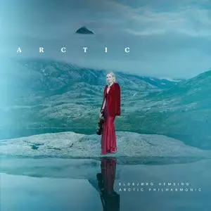 Arctic网赚项目-副业赚钱-互联网创业-资源整合HIRES SHOP