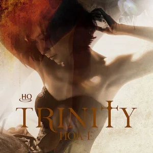 Trinity网赚项目-副业赚钱-互联网创业-资源整合HIRES SHOP