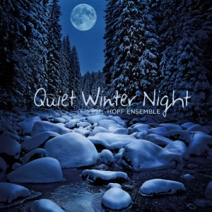 Quiet Winter Night网赚项目-副业赚钱-互联网创业-资源整合HIRES SHOP