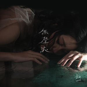 无声浪网赚项目-副业赚钱-互联网创业-资源整合HIRES SHOP