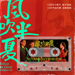 风吹半夏 年代经典OST原声带网赚项目-副业赚钱-互联网创业-资源整合HIRES SHOP