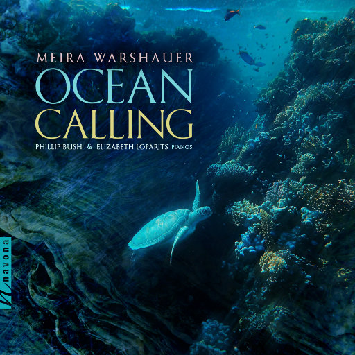 海的呼唤 (Ocean Calling)网赚项目-副业赚钱-互联网创业-资源整合HIRES SHOP