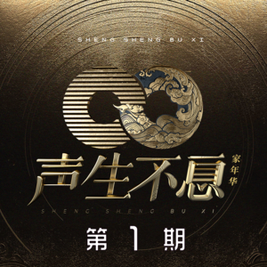 声生不息·家年华 第1期网赚项目-副业赚钱-互联网创业-资源整合HIRES SHOP