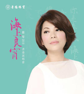 海上良宵2010香港演唱会网赚项目-副业赚钱-互联网创业-资源整合HIRES SHOP