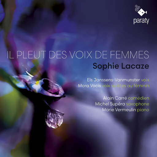 如雨飘落的女性之声(Il pleut des voix de femmes)网赚项目-副业赚钱-互联网创业-资源整合HIRES SHOP