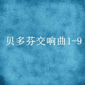贝多芬交响曲 (一) C大调第一交响曲 作品21号、降E大调第三交响曲“英雄” 作品55号网赚项目-副业赚钱-互联网创业-资源整合HIRES SHOP
