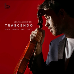 超越 (Trascendo)网赚项目-副业赚钱-互联网创业-资源整合HIRES SHOP