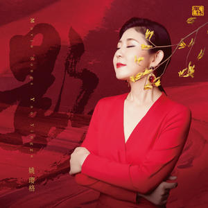影网赚项目-副业赚钱-互联网创业-资源整合HIRES SHOP