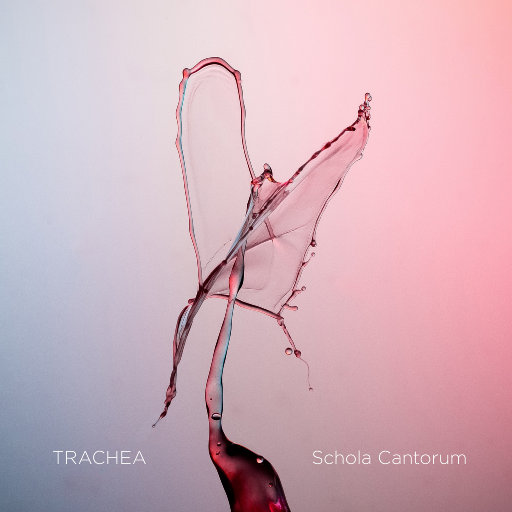 TRACHEA (11.2MHz DSD)网赚项目-副业赚钱-互联网创业-资源整合HIRES SHOP