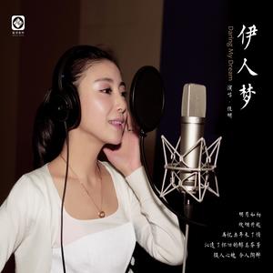 伊人梦网赚项目-副业赚钱-互联网创业-资源整合HIRES SHOP