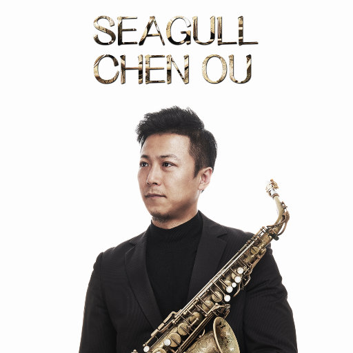 Seagull（海鸥）网赚项目-副业赚钱-互联网创业-资源整合HIRES SHOP