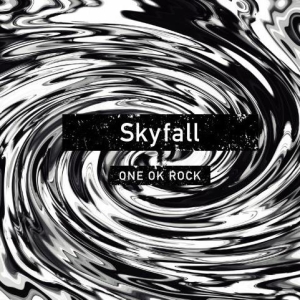 Skyfall网赚项目-副业赚钱-互联网创业-资源整合HIRES SHOP
