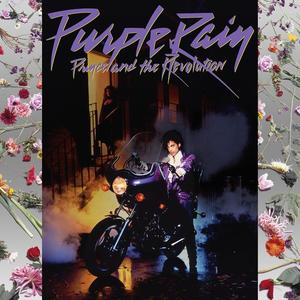 Purple Rain网赚项目-副业赚钱-互联网创业-资源整合HIRES SHOP