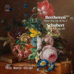 Beethoven Piano Trio网赚项目-副业赚钱-互联网创业-资源整合HIRES SHOP