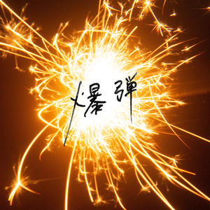 爆弾 (Bomb)网赚项目-副业赚钱-互联网创业-资源整合HIRES SHOP