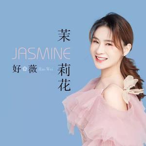 茉莉花网赚项目-副业赚钱-互联网创业-资源整合HIRES SHOP