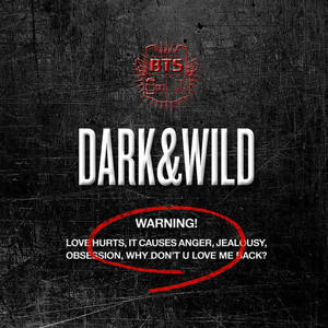 DARK&WILD网赚项目-副业赚钱-互联网创业-资源整合HIRES SHOP