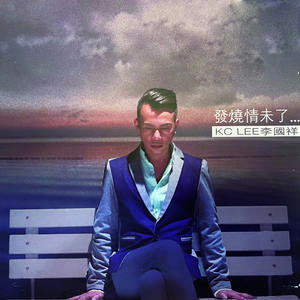 发烧情未了网赚项目-副业赚钱-互联网创业-资源整合HIRES SHOP