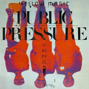 Public Pressure网赚项目-副业赚钱-互联网创业-资源整合HIRES SHOP