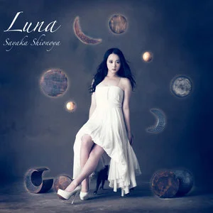Luna网赚项目-副业赚钱-互联网创业-资源整合HIRES SHOP
