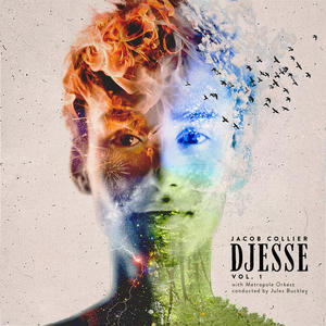 Djesse (Vol. 1)网赚项目-副业赚钱-互联网创业-资源整合HIRES SHOP