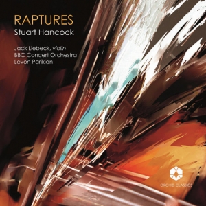 Raptures (狂欢)网赚项目-副业赚钱-互联网创业-资源整合HIRES SHOP