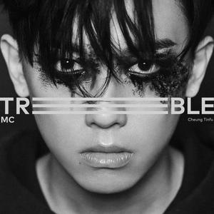 TREBLE网赚项目-副业赚钱-互联网创业-资源整合HIRES SHOP