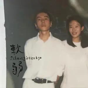 软弱网赚项目-副业赚钱-互联网创业-资源整合HIRES SHOP