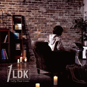 1LDK网赚项目-副业赚钱-互联网创业-资源整合HIRES SHOP