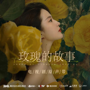 玫瑰的故事 电视剧原声带网赚项目-副业赚钱-互联网创业-资源整合HIRES SHOP