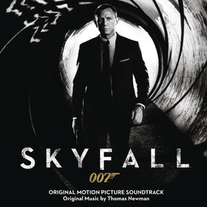 Skyfall (Original Motion Picture Soundtrack)网赚项目-副业赚钱-互联网创业-资源整合HIRES SHOP