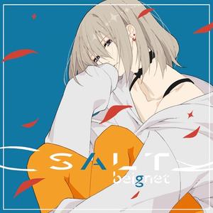SALT网赚项目-副业赚钱-互联网创业-资源整合HIRES SHOP