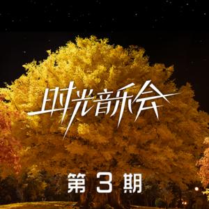 时光音乐会 第3期网赚项目-副业赚钱-互联网创业-资源整合HIRES SHOP