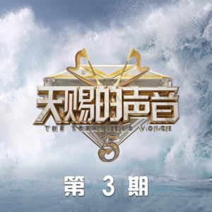 天赐的声音第五季 第3期网赚项目-副业赚钱-互联网创业-资源整合HIRES SHOP