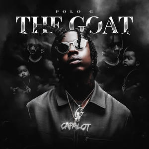 THE GOAT网赚项目-副业赚钱-互联网创业-资源整合HIRES SHOP