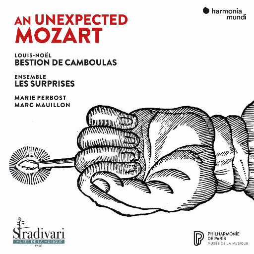 超乎想象的莫扎特 (An Unexpected Mozart)网赚项目-副业赚钱-互联网创业-资源整合HIRES SHOP