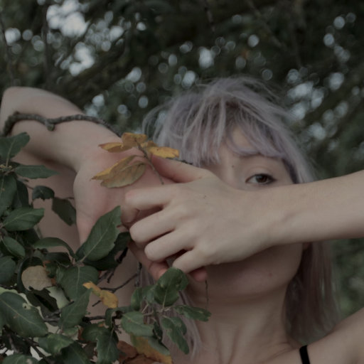 Piece by Piece网赚项目-副业赚钱-互联网创业-资源整合HIRES SHOP