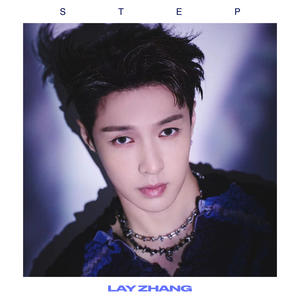 STEP网赚项目-副业赚钱-互联网创业-资源整合HIRES SHOP