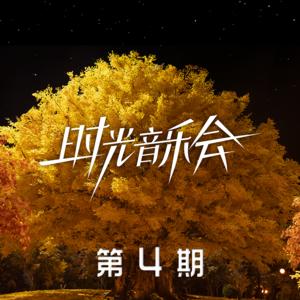 时光音乐会第二季 第4期网赚项目-副业赚钱-互联网创业-资源整合HIRES SHOP