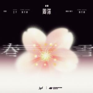 春雪网赚项目-副业赚钱-互联网创业-资源整合HIRES SHOP