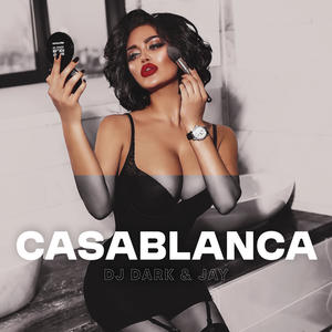 Casablanca网赚项目-副业赚钱-互联网创业-资源整合HIRES SHOP