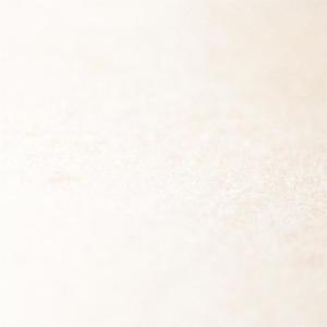 Room网赚项目-副业赚钱-互联网创业-资源整合HIRES SHOP