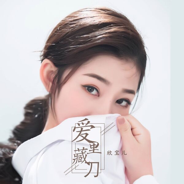 爱里藏刀网赚项目-副业赚钱-互联网创业-资源整合HIRES SHOP